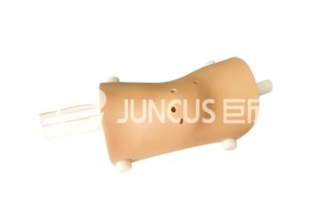 膝关节镜检查模型